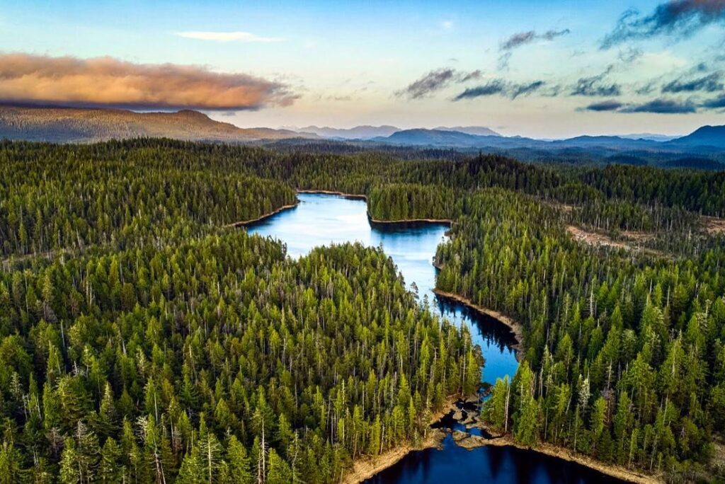 Tongass National Forest