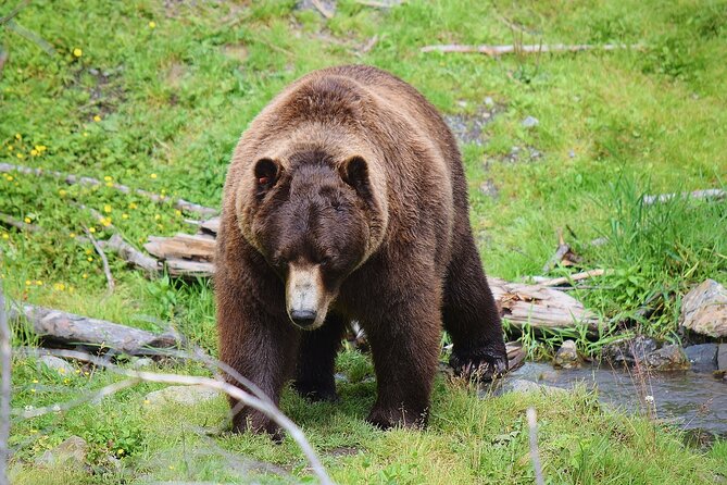 Fortress of the Bear